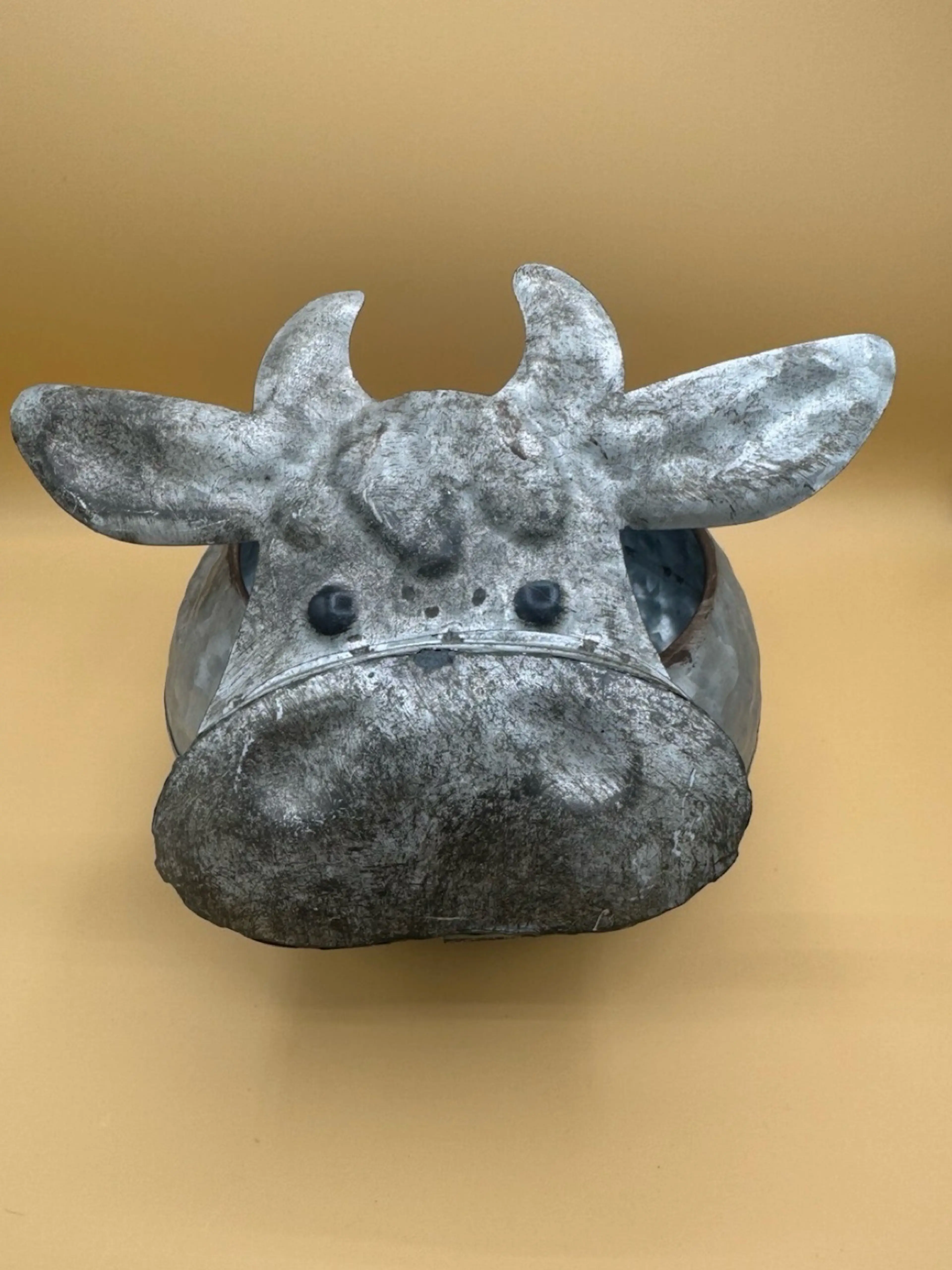 Image 1 of 9