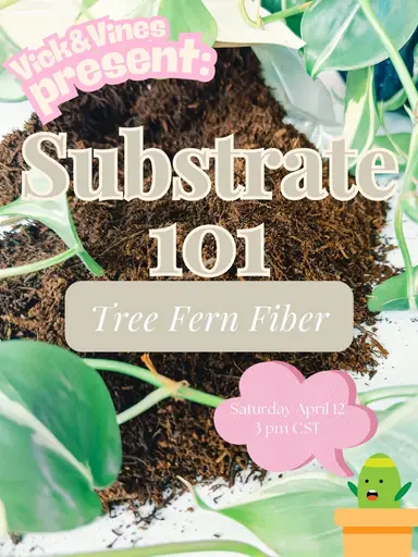 Introduction And Substrate 101: Tree Fern Fiber