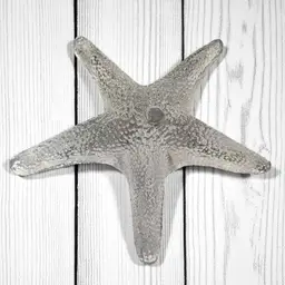 Gorgeous vintage Blenko clear glass starfish decoration or paperweight