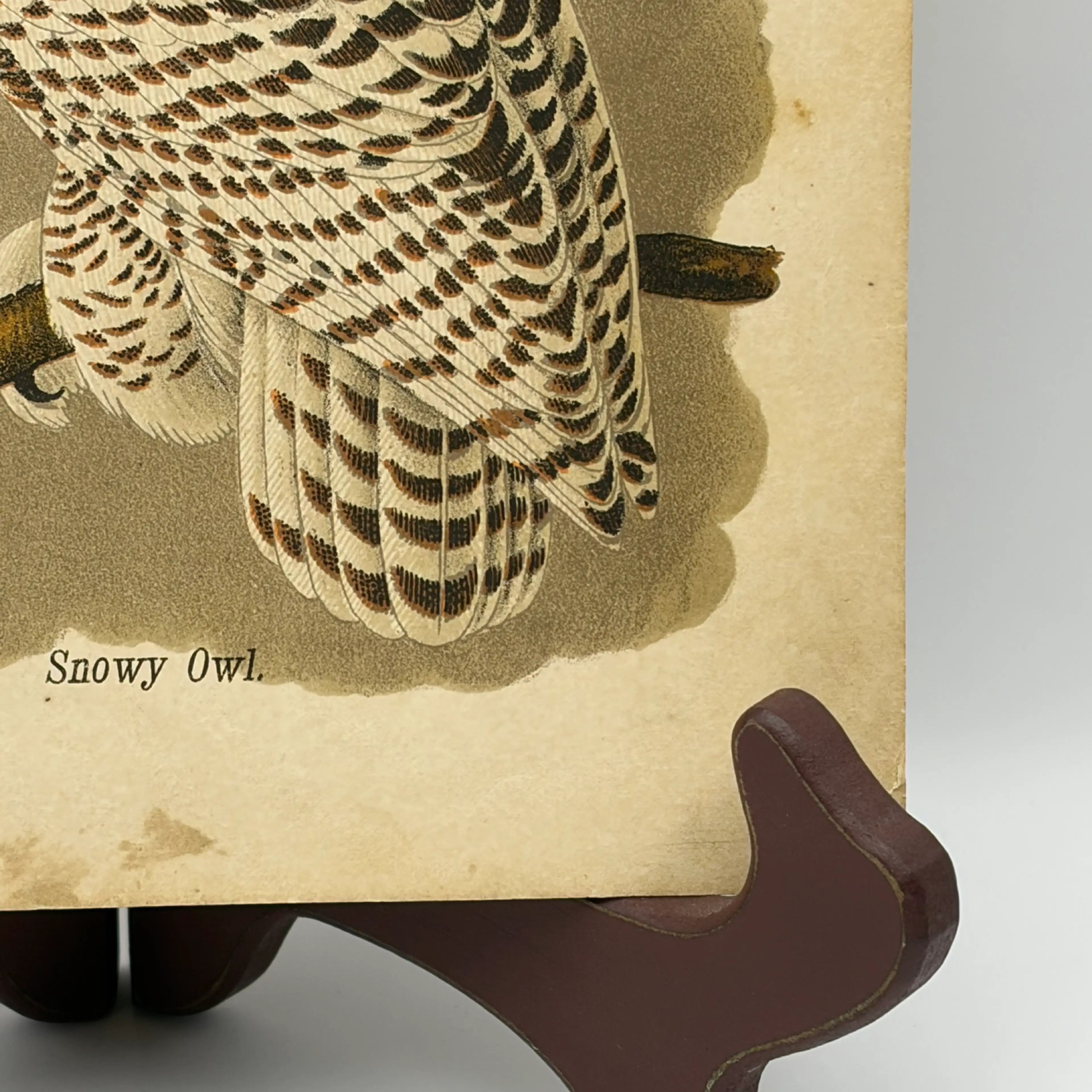 Image 4 of 9