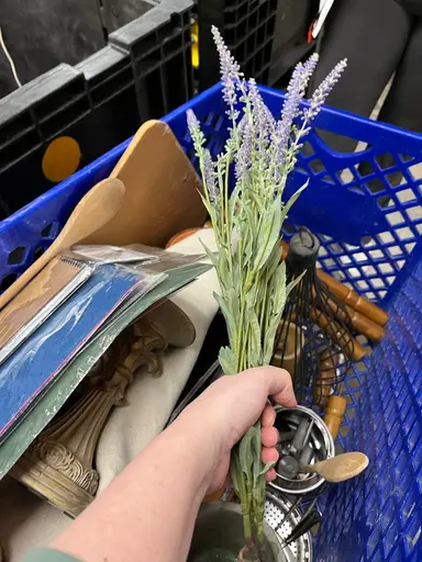 Goodwill Bins Haul!!