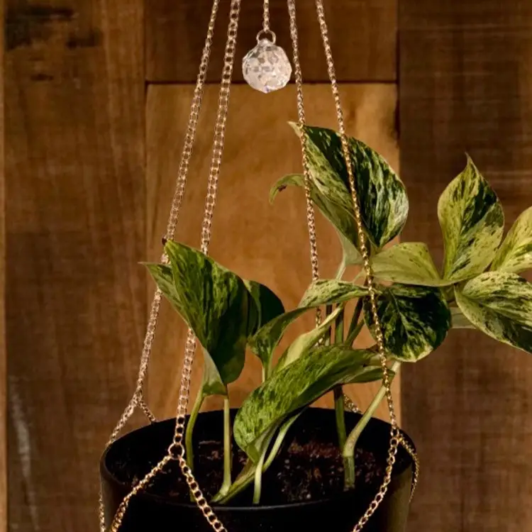 Gold Chain Plant Hanger with Sun Catcher