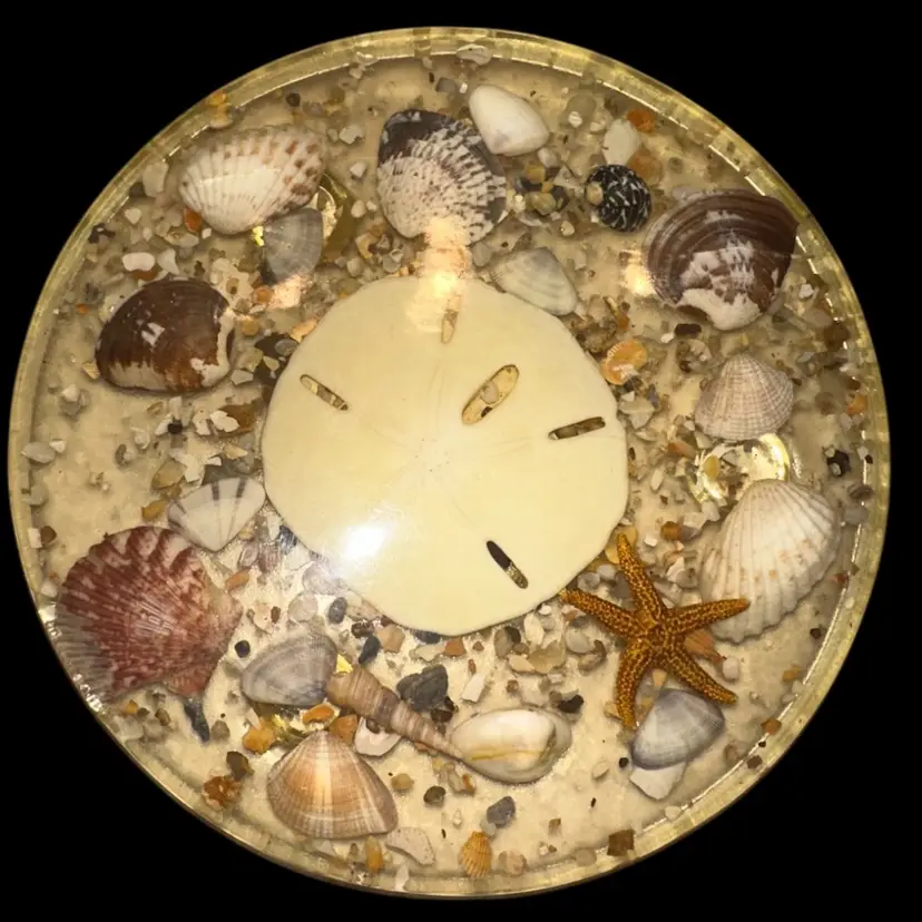 Resin/Acrylic Sand Dollar & Seashell Trivet