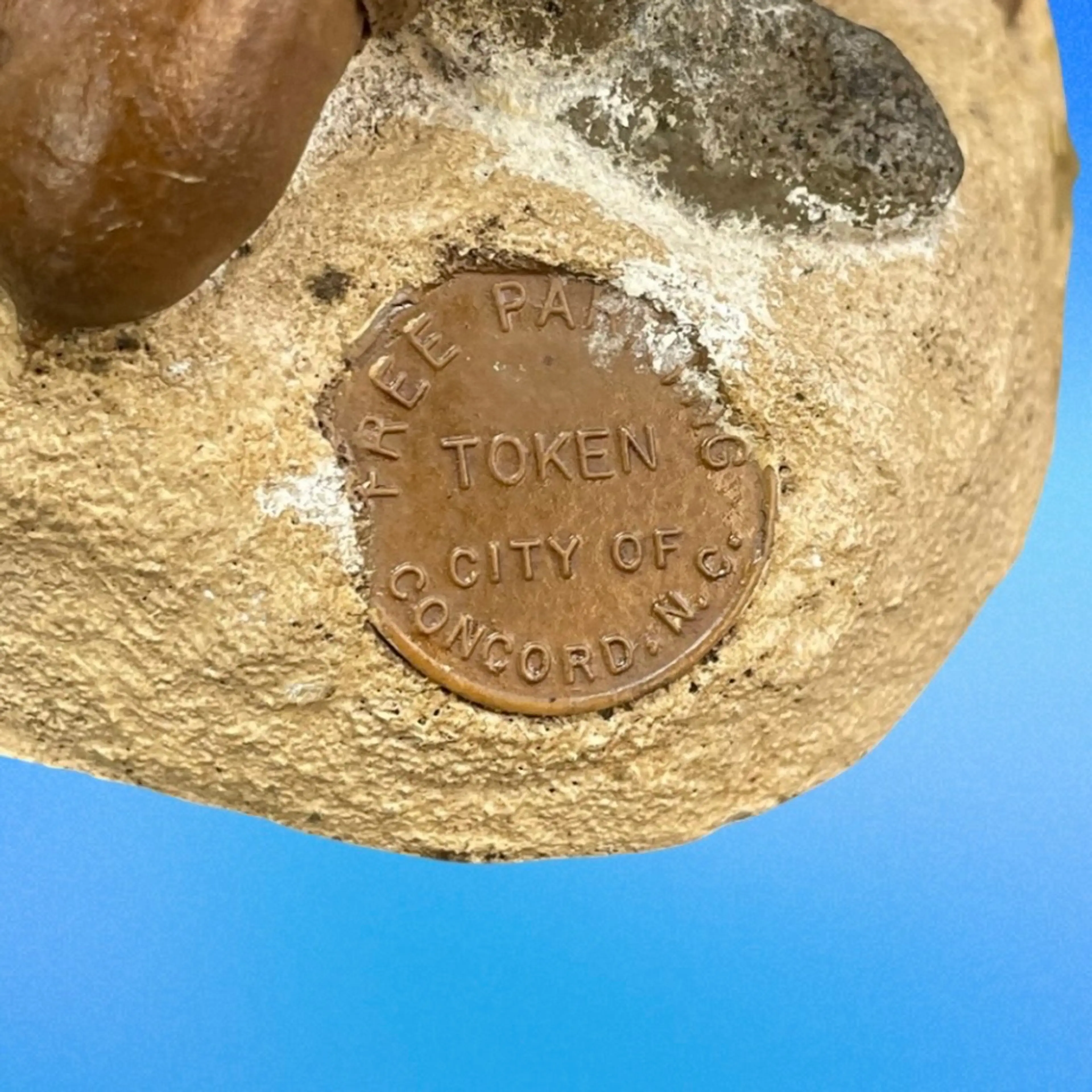 Image 4 of 17