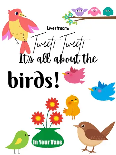 Birds Of A Feather Shop Together 