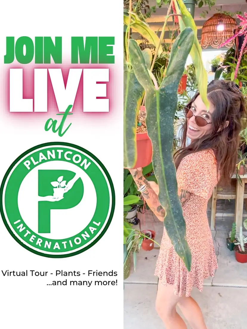 Livestream thumbnail