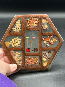 Vintage Gamut Designs Ladybug Resin Acrylic Trivet Lucite Flowers Seeds 1960s