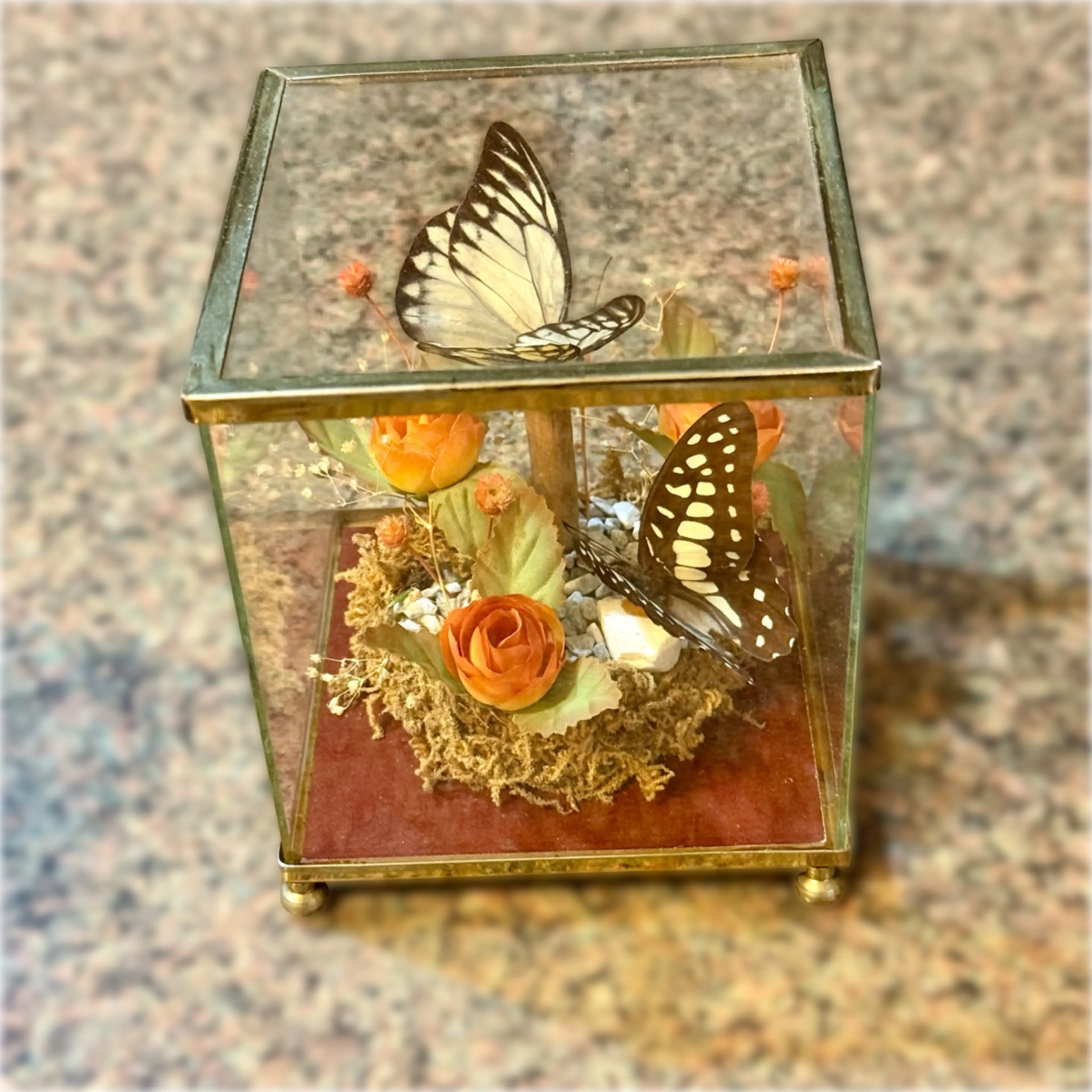 Image 2 of 9