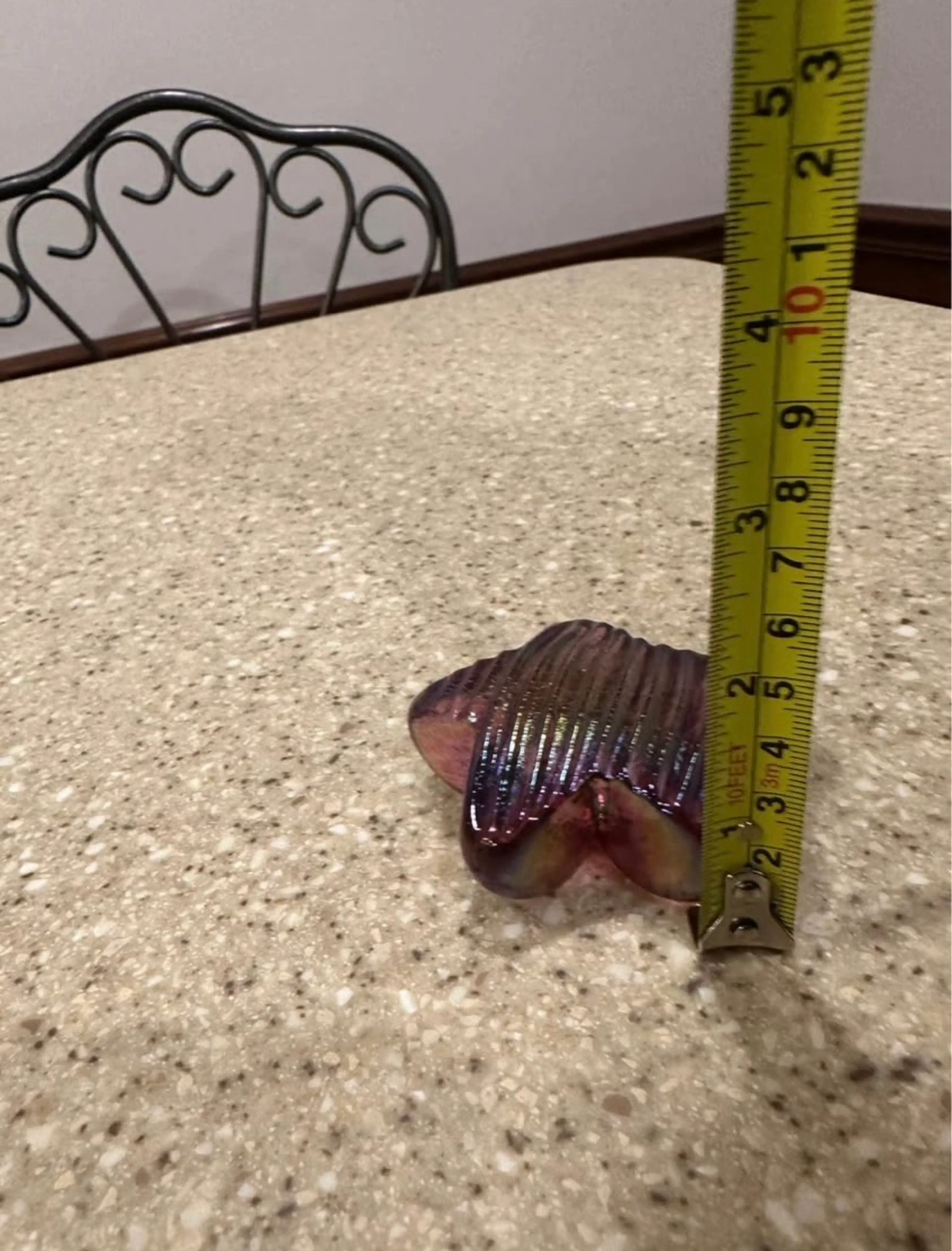 Image 3 of 6