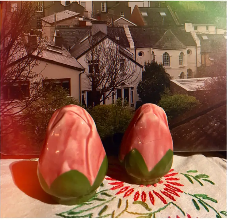 Franciscan Ware Rose Salt and Pepper Shakers