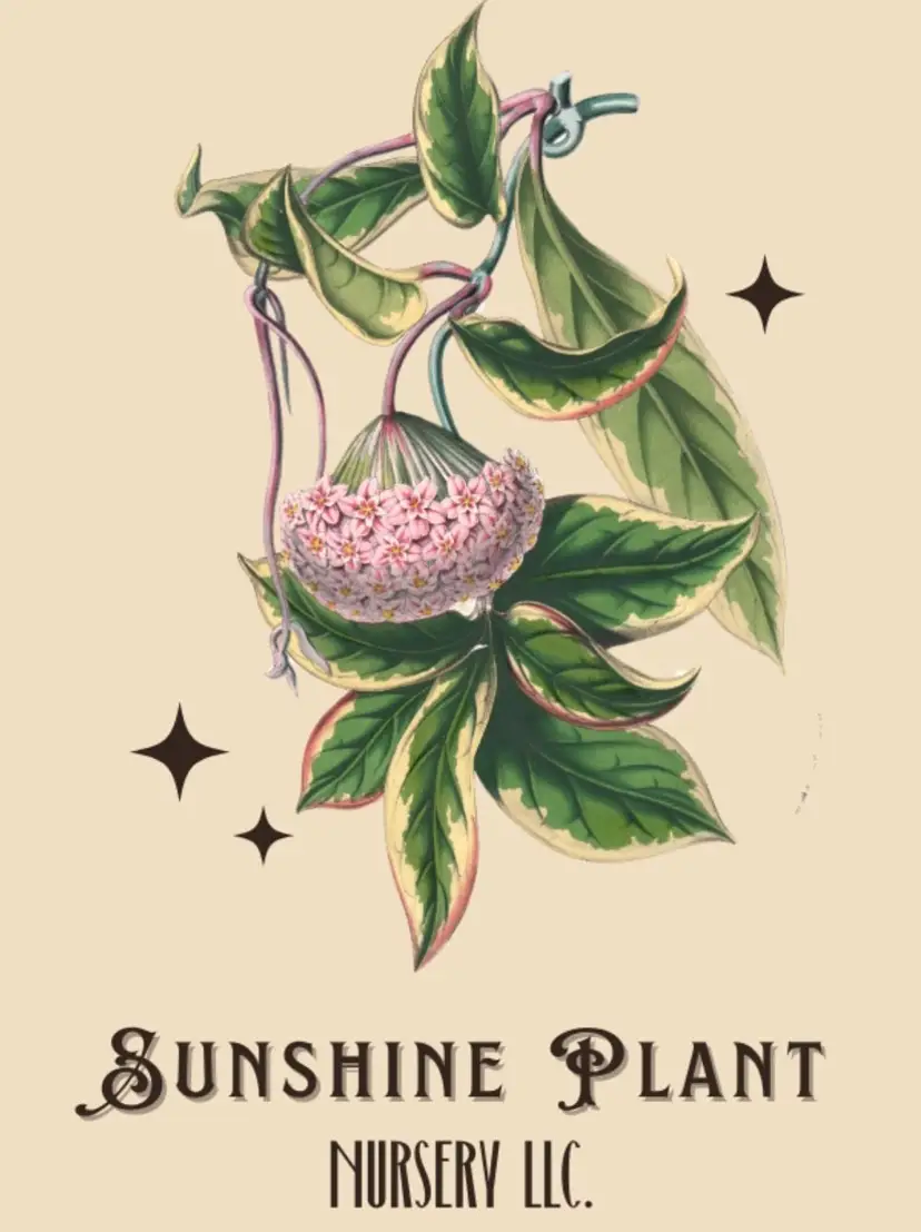 Livestream thumbnail