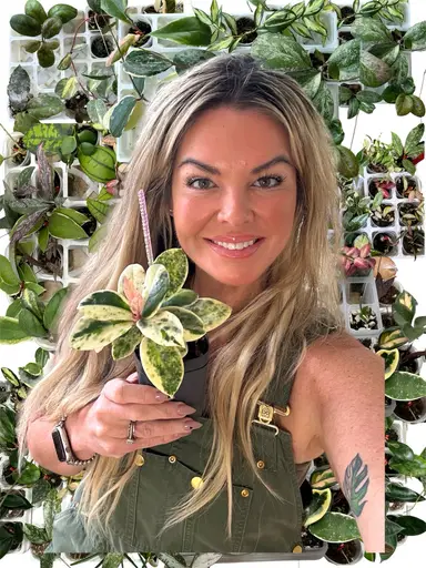 New Plants New Beginnings 