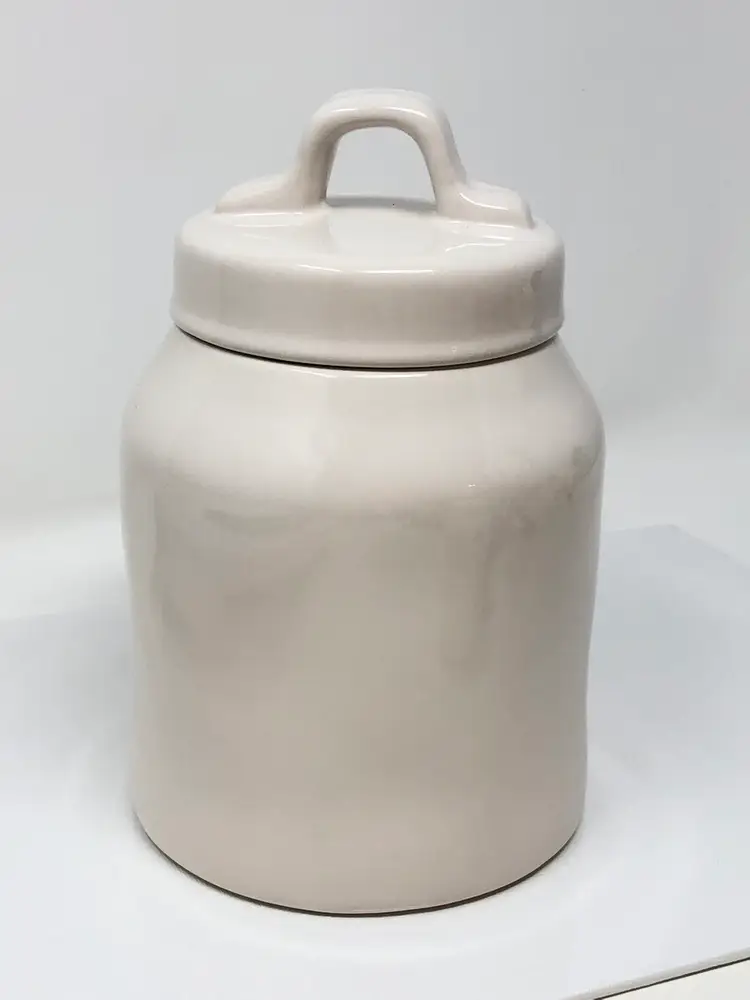 Farm Fresh Small Rae Dunn Canister