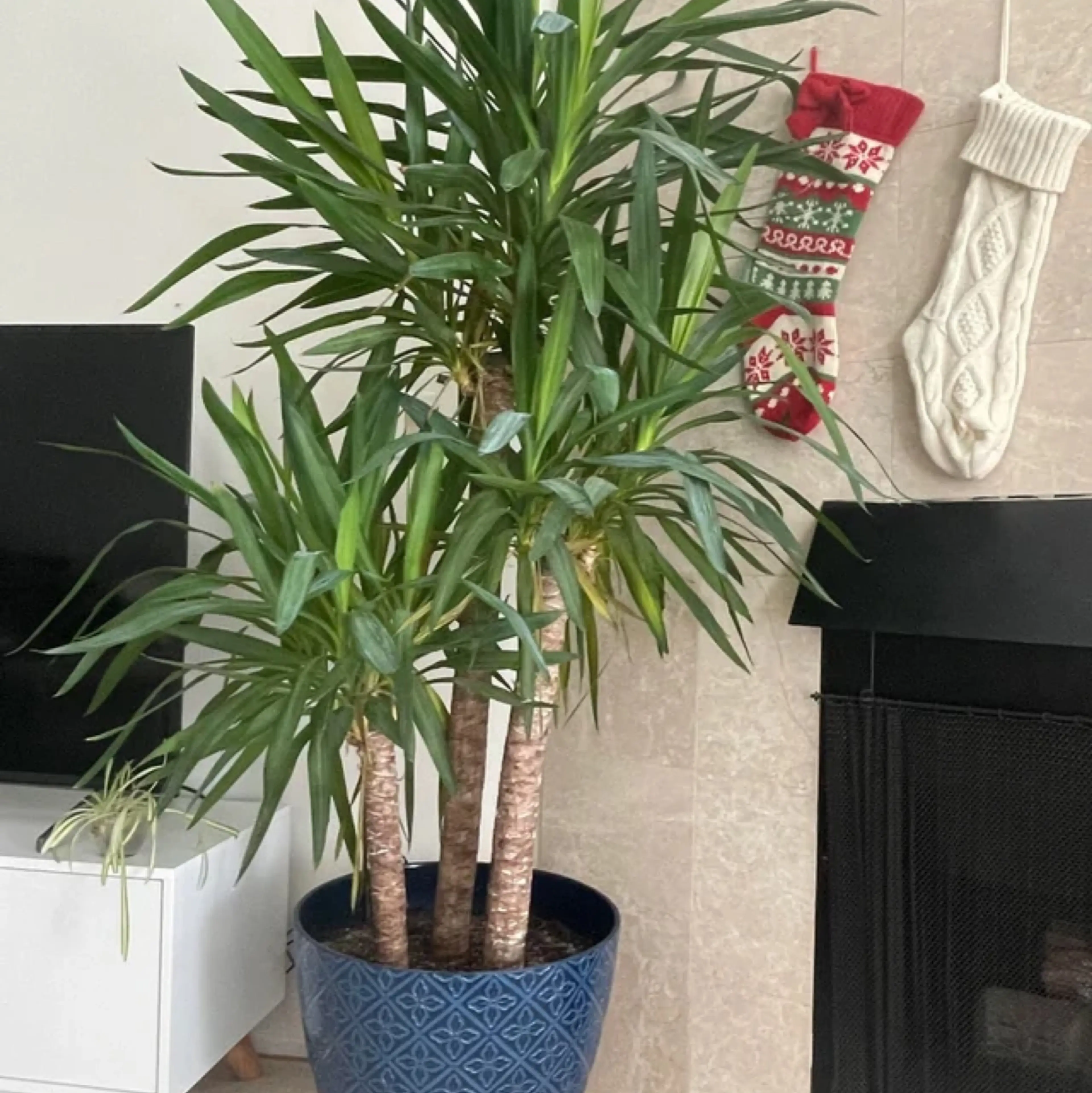 Image 2 of 2