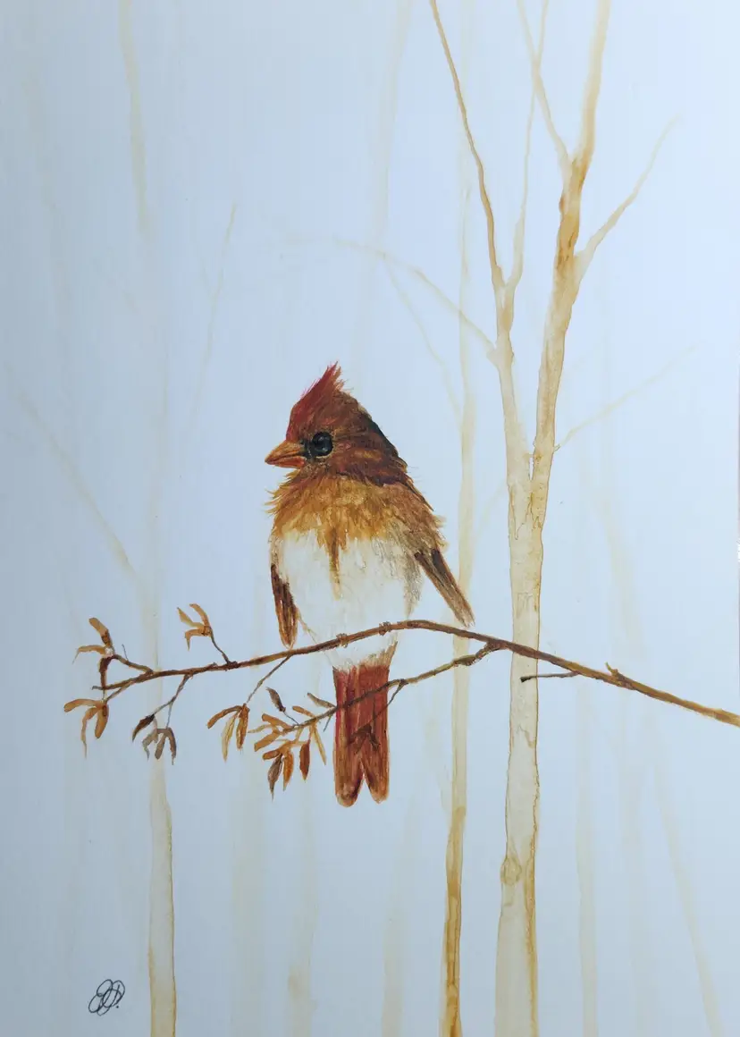 Cardinal Original Watercolor Painting Signed By The Artist 5x7