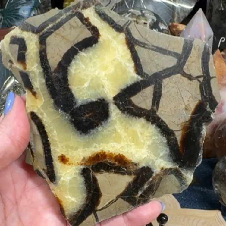 Septarian Slab 30B