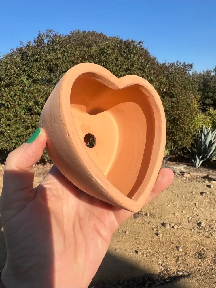 Sweetheart Terra cotta Pot