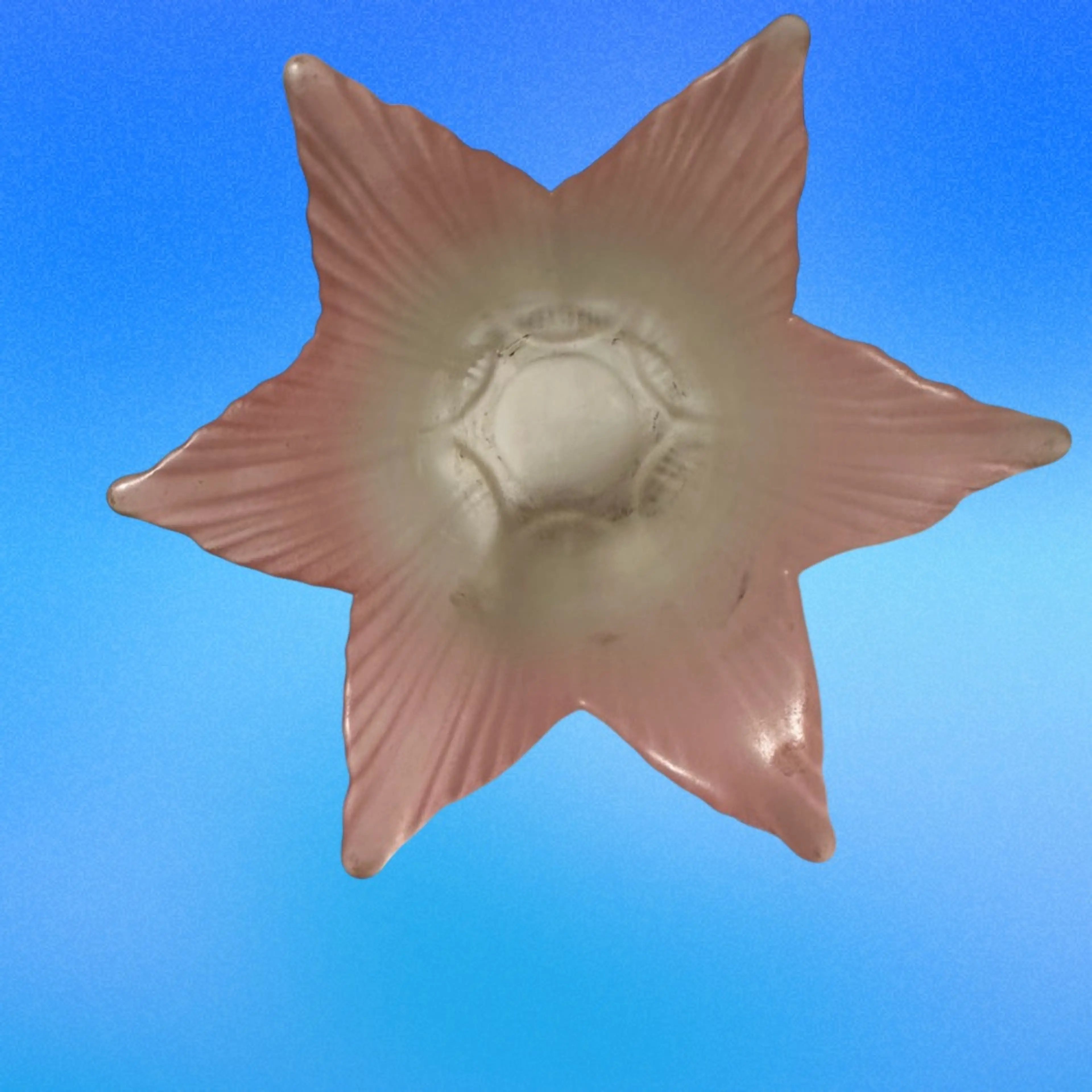 Image 4 of 4
