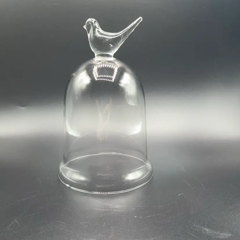 Clear Glass Cloche With Bird Handle