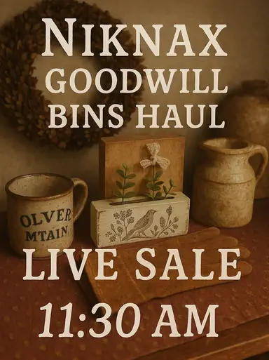 Goodwill Bins Haul Part 2!! 