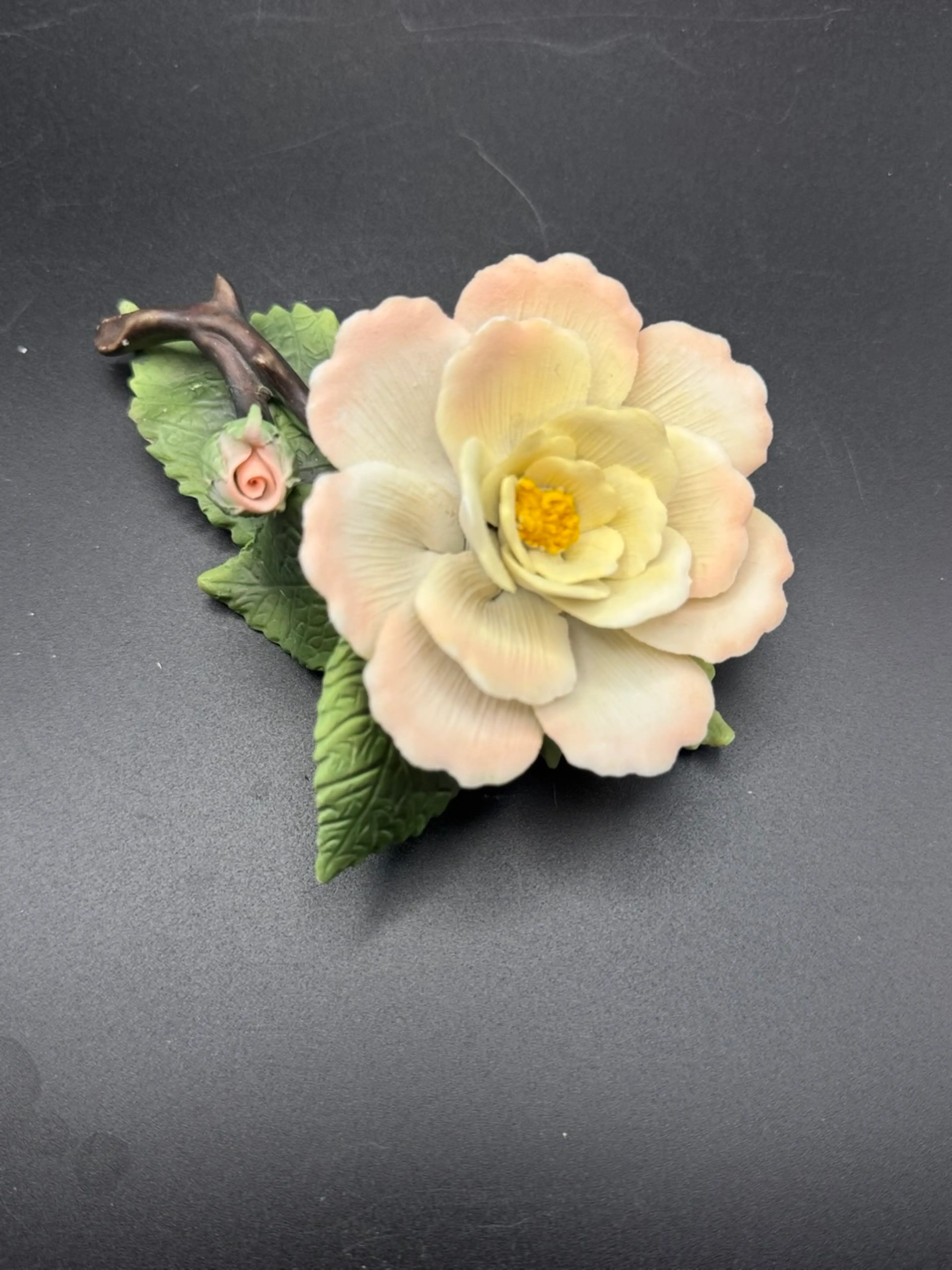 Image 5 of 6