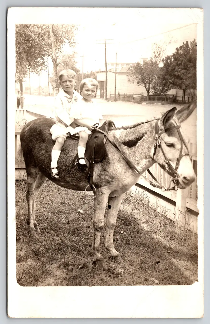 Postcard RPPC Young Children on Donkey Real Photo Burro - 9209