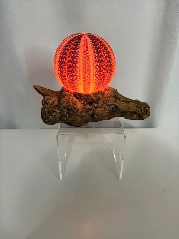 Sea Urchin Shell Light Handmade Natural Shell Night Light | Sea Shell Nautical Ocean Decor Pale Pink Glow Shell Light