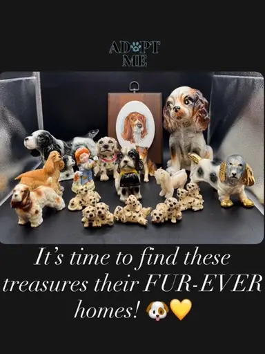 Adopt-a-Find: Dog Lovers Sale 🐶🐾