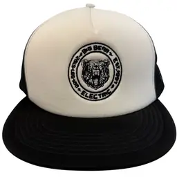 Big Bear Electric Embroidered Logo Flat Brim Foam White & Black Snapback