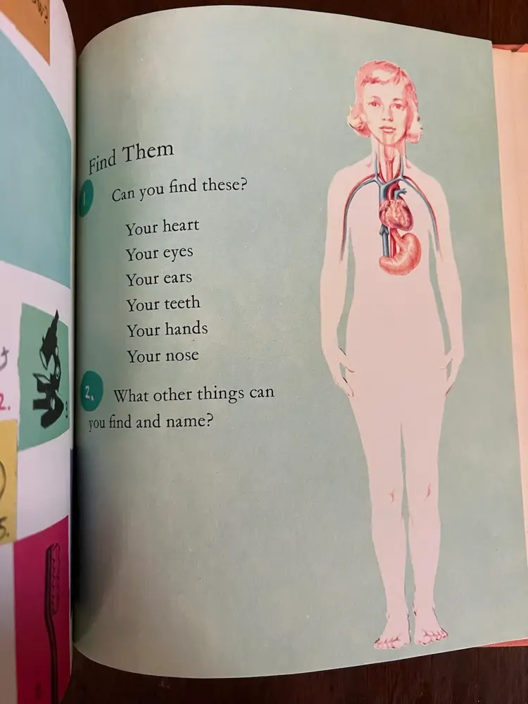 1957 Seven Or So Book- GRAPHICS!!