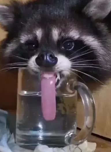 Drinkware! Major Price Cuts! 