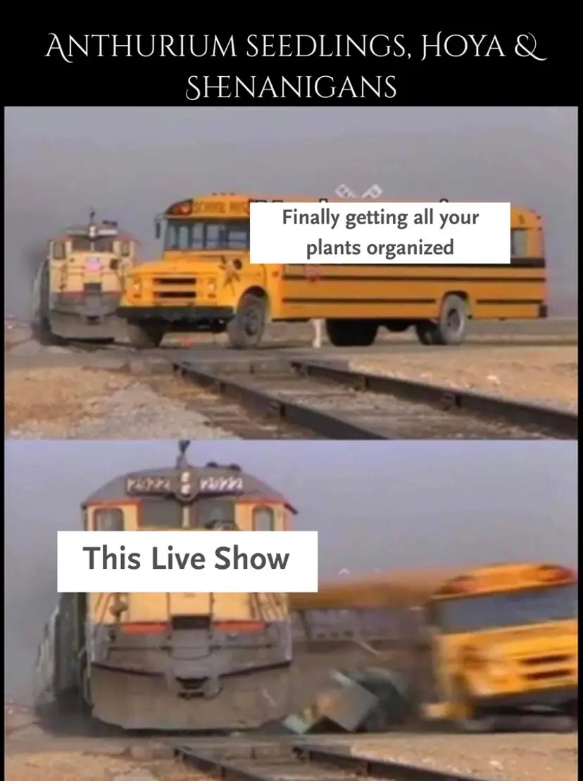 Livestream thumbnail