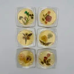 Set Of 6 Vintage Lucite Pressed Flower Coasters