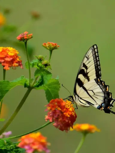 Glass, Pottery And More! Happy Sunday!