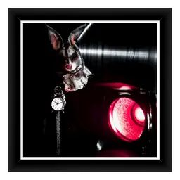 Not A Rat Race 16x16