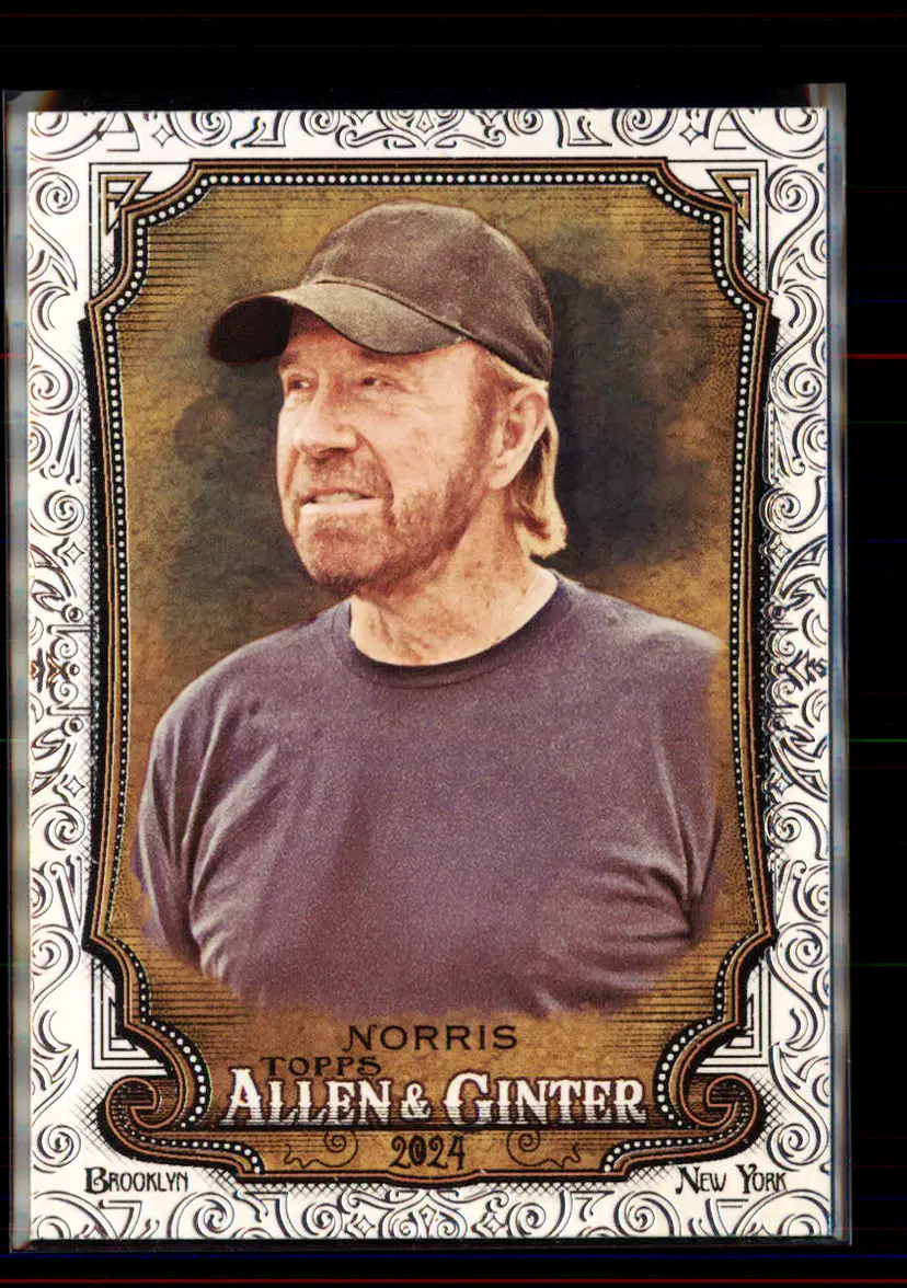 Chuck Norris 2024 Topps Allen & Ginter Foil Filagree #255 - (2) - nan