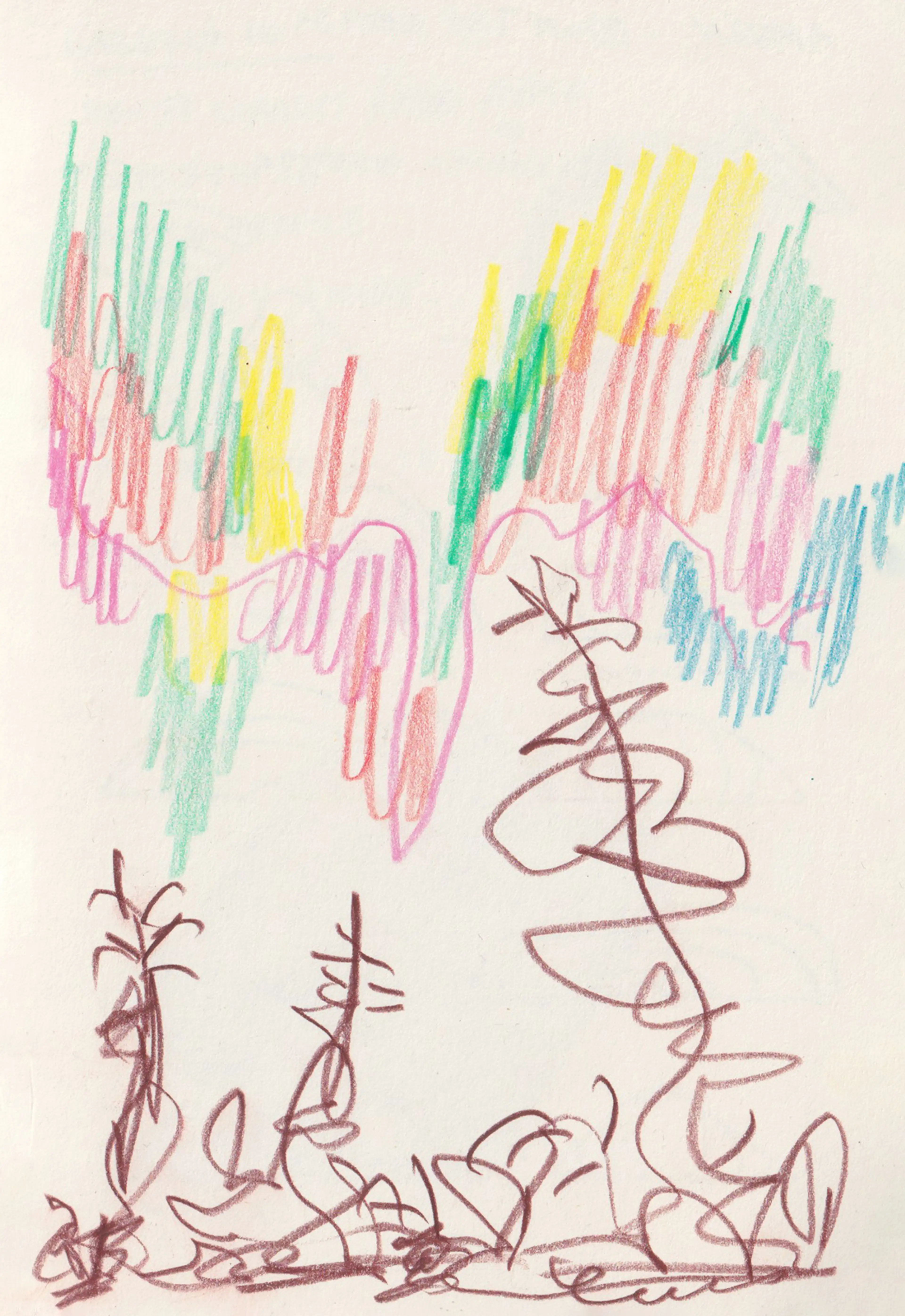 Northern Lights Landscape