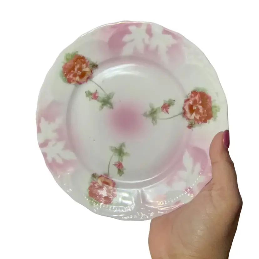 Amazing Antique Plate