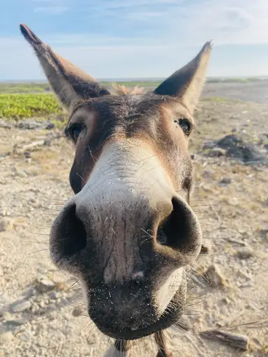 Retail Therapy Thursday! Vintage Variety! 