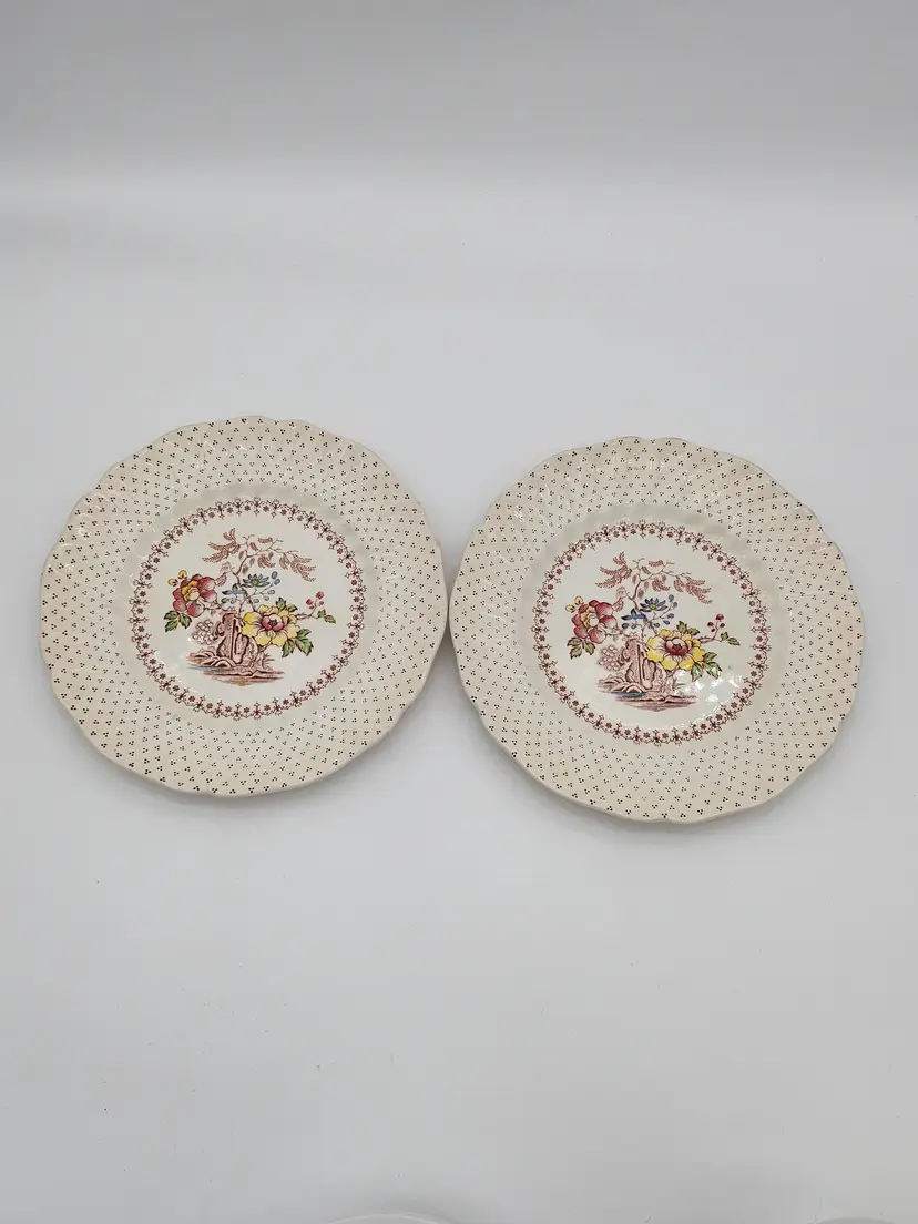 Vintage Royal Doulton~”GRANTHAM”~8.5” Sandwich Salad Plates~Floral~ Qty 2