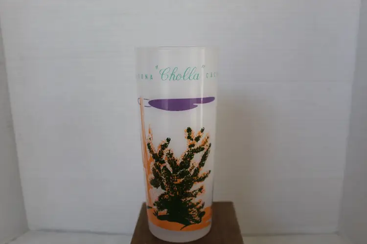 Vintage Blakely Oil and Gas  Arizona Cactus Frosted Glasses Highball Set of 8