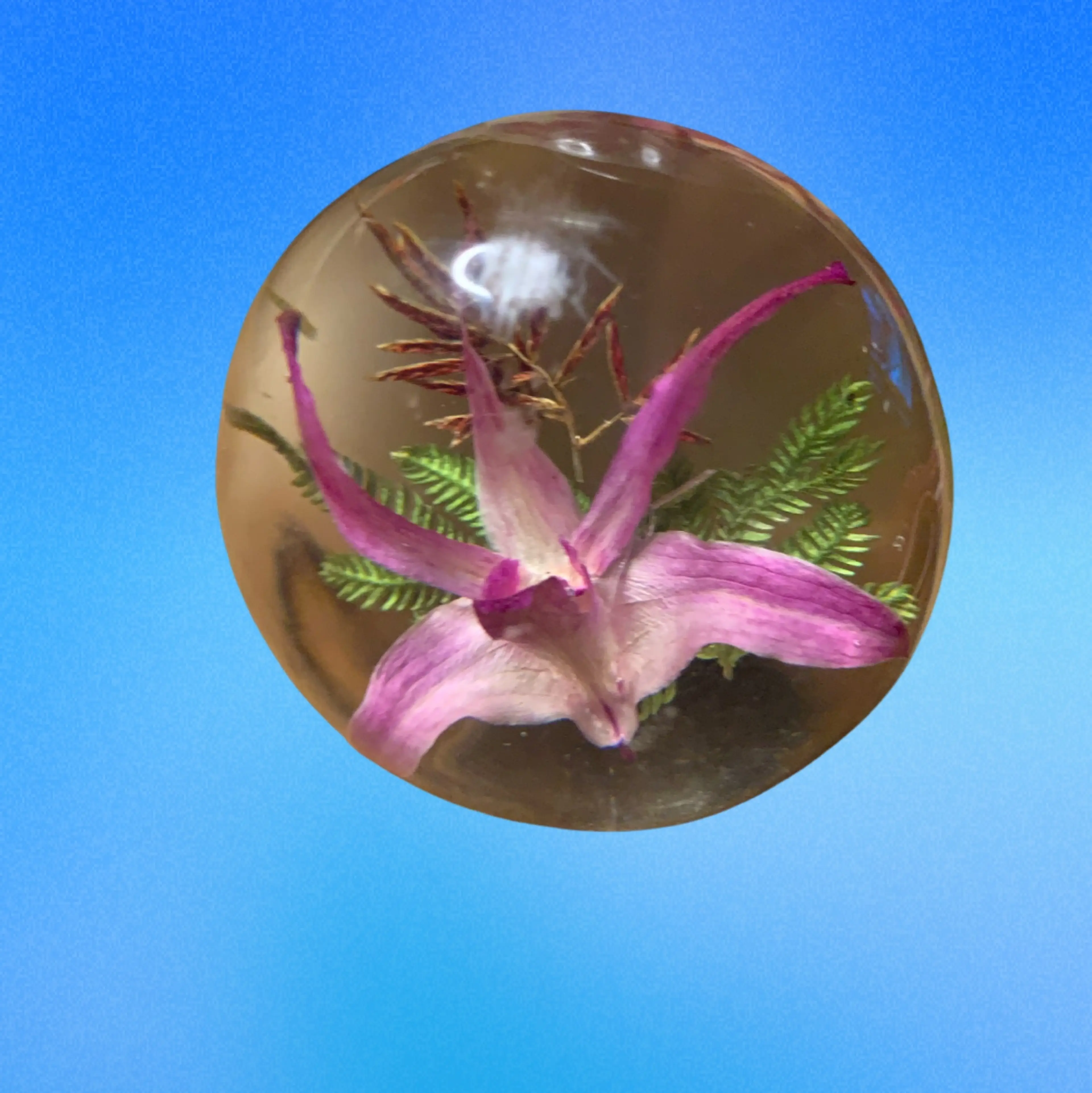 Image 2 of 4