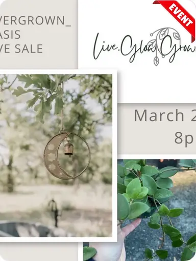 SPD Trail Garden & Hoyas