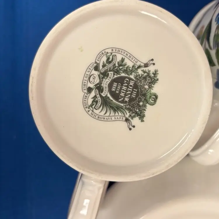 Portmeirion BOTANIC GARDEN Drum Cup With Saucer Veronica Chamaedrys Speed tea Cup