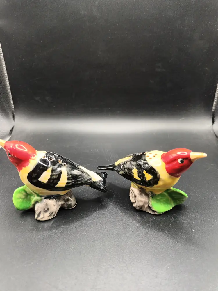 Vintage Western Tanigers Bird Salt and Pepper Shakers