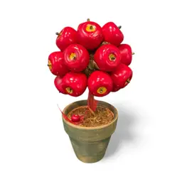 Tall Apple Figurine Topiary Tree In Terracotta Pot