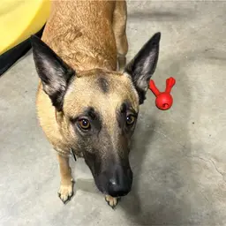 #13 - 01 Stacked Givey