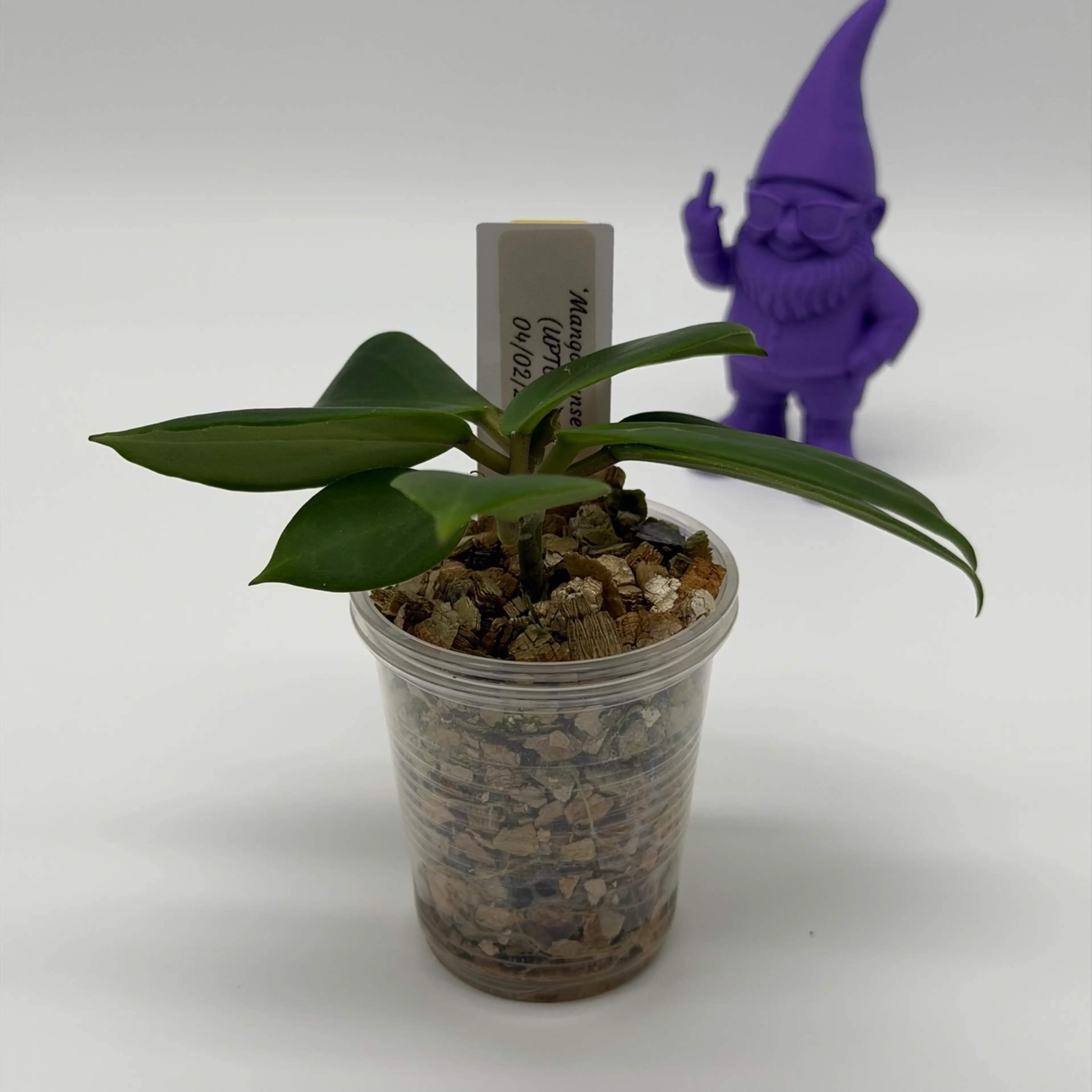 Image 3 of 3