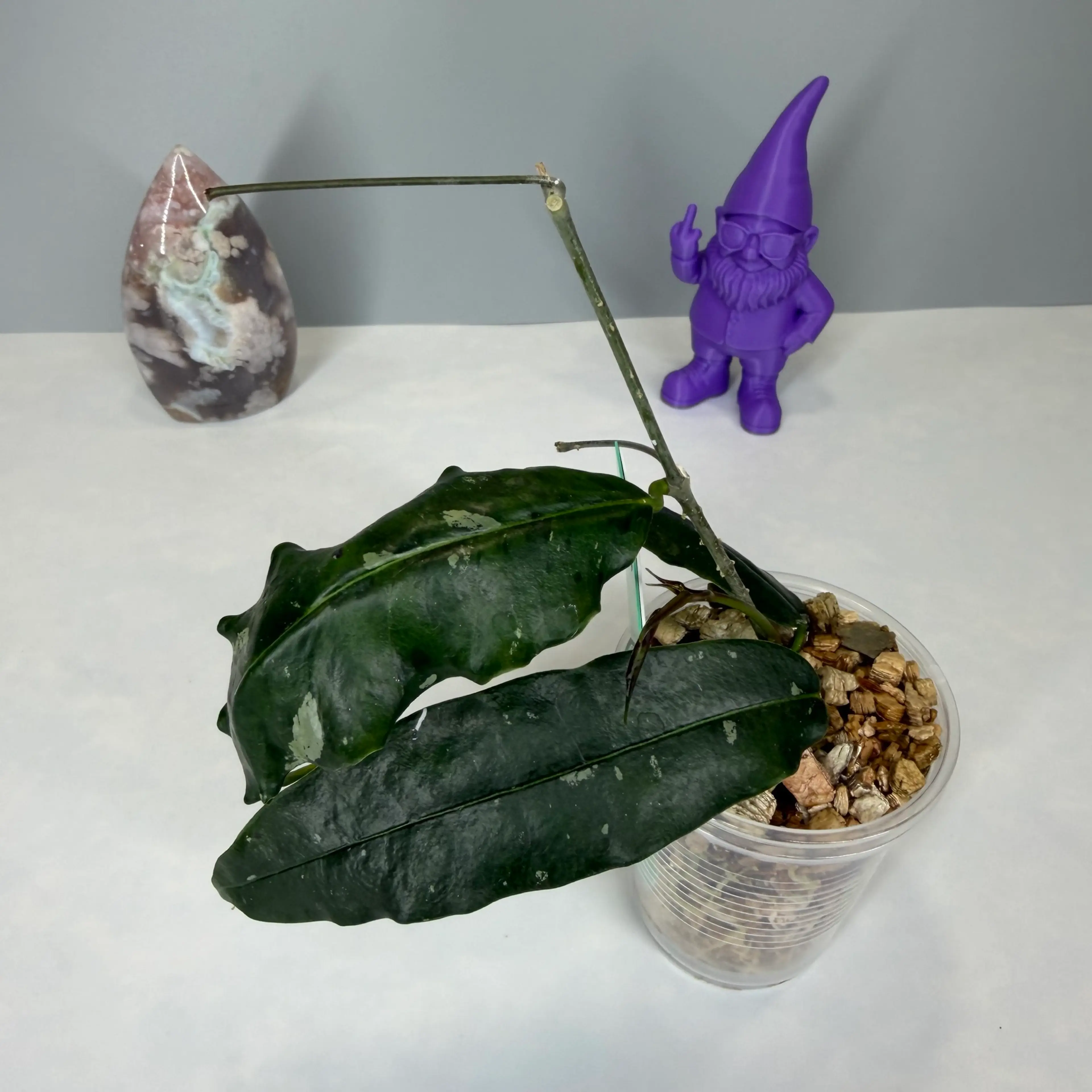 Image 3 of 3
