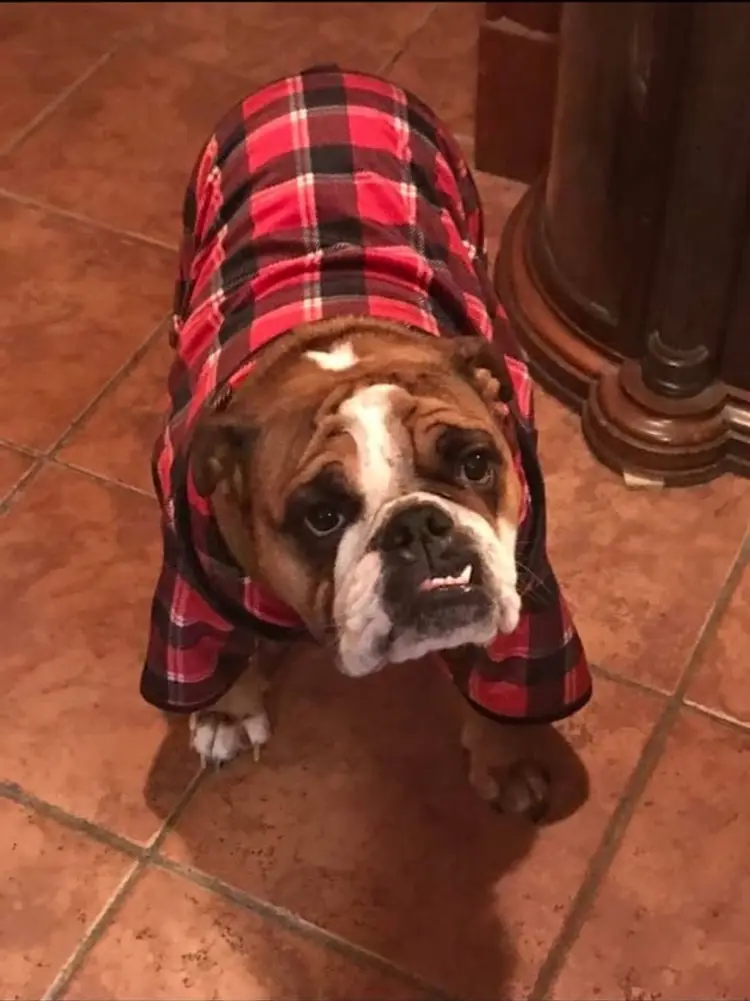 Rosey’s Christmas Special 